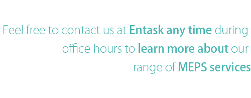 About Entask
